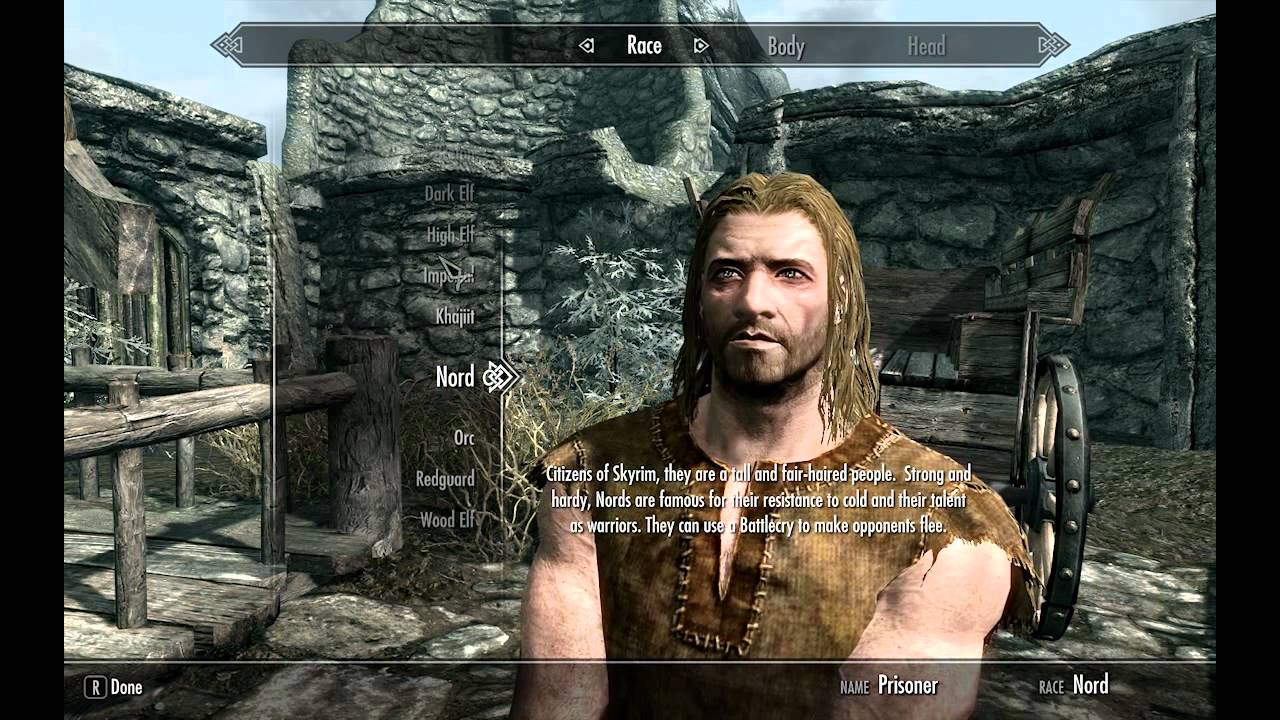 What is the best race in skyrim for magic